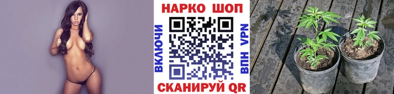 Наркошоп купить ГАШИШ  МАРИХУАНА  A PVP  Меф  Выборг